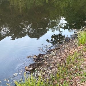 Meet your Posher, Reilly